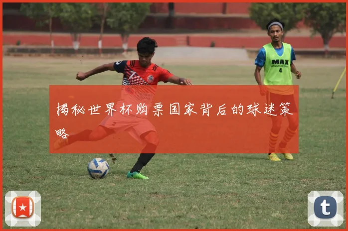 揭秘世界杯购票国家背后的球迷策略