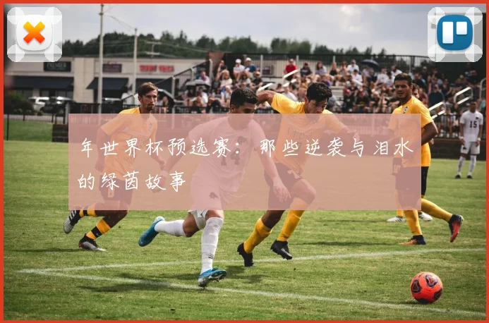 年世界杯预选赛：那些逆袭与泪水的绿茵故事